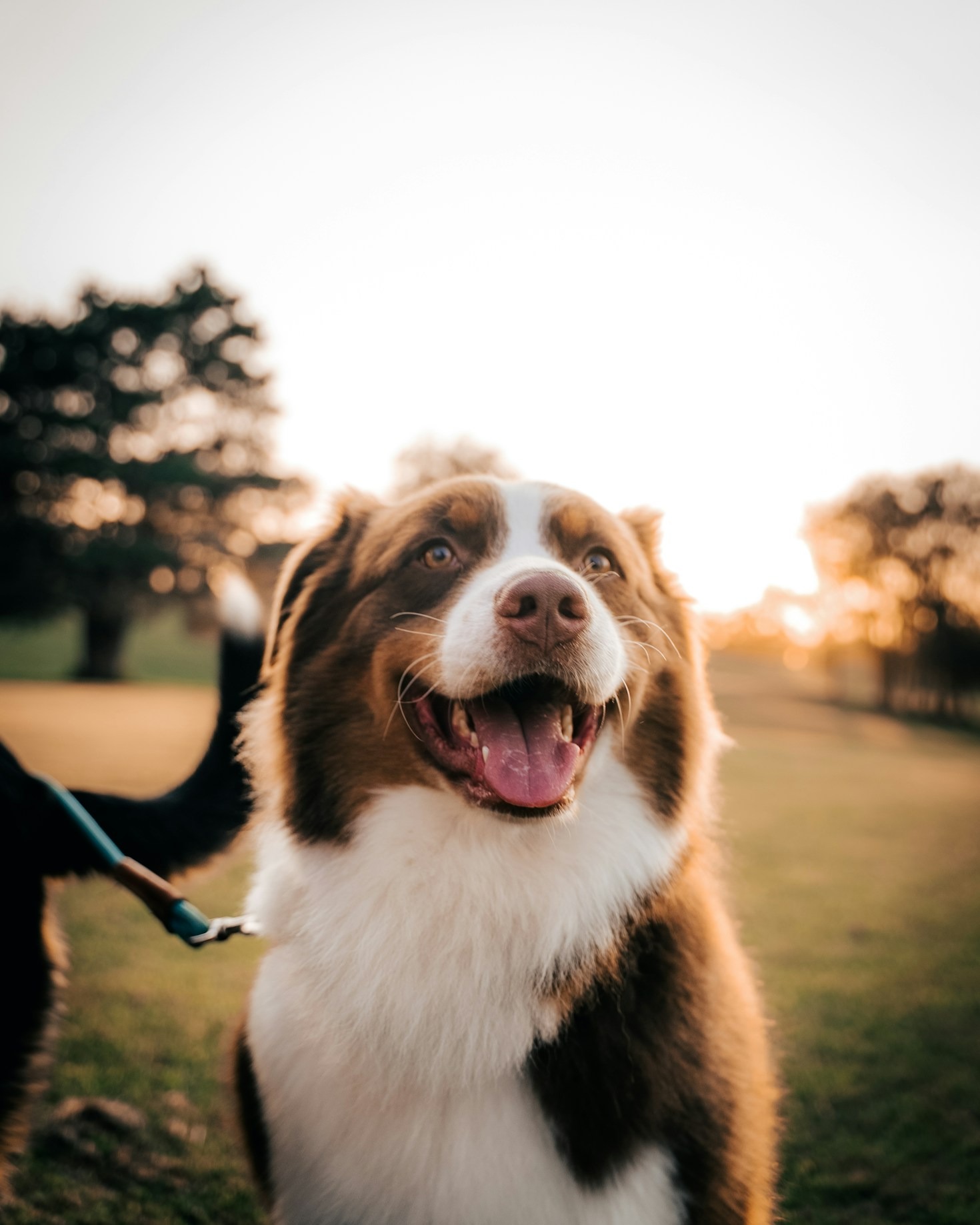 The Impact of Storytelling on Early Childhood Development